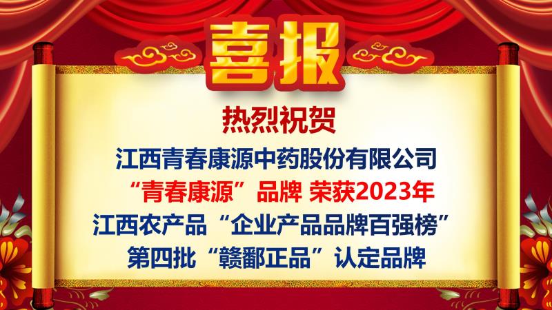 大骚逼视频免费导航